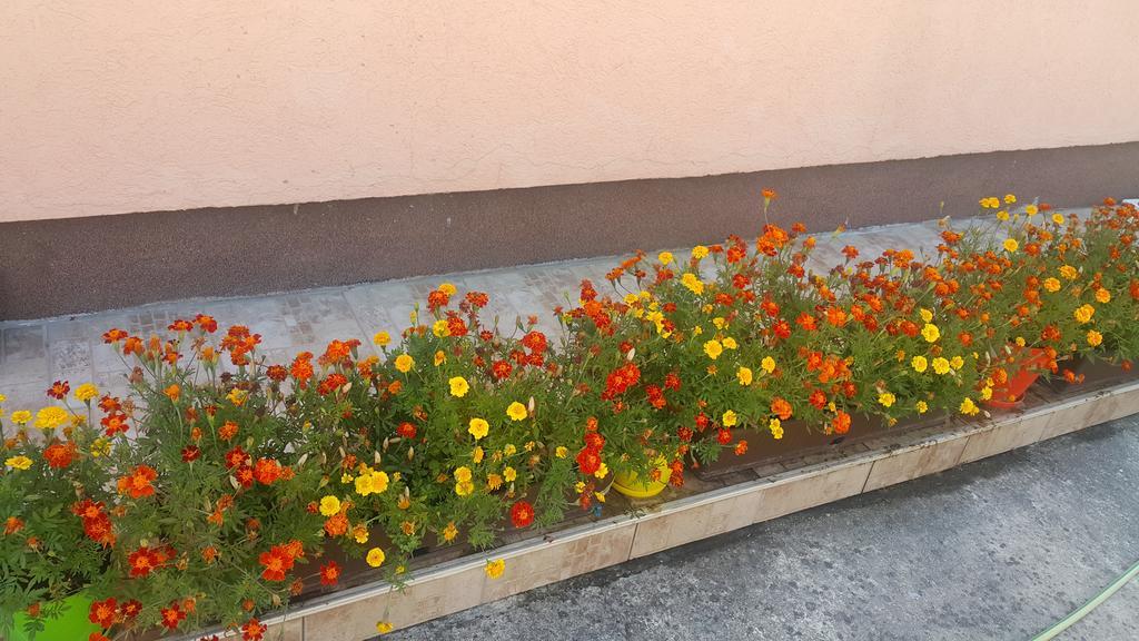 Sobe Nedovic Hotel Budva Exterior foto