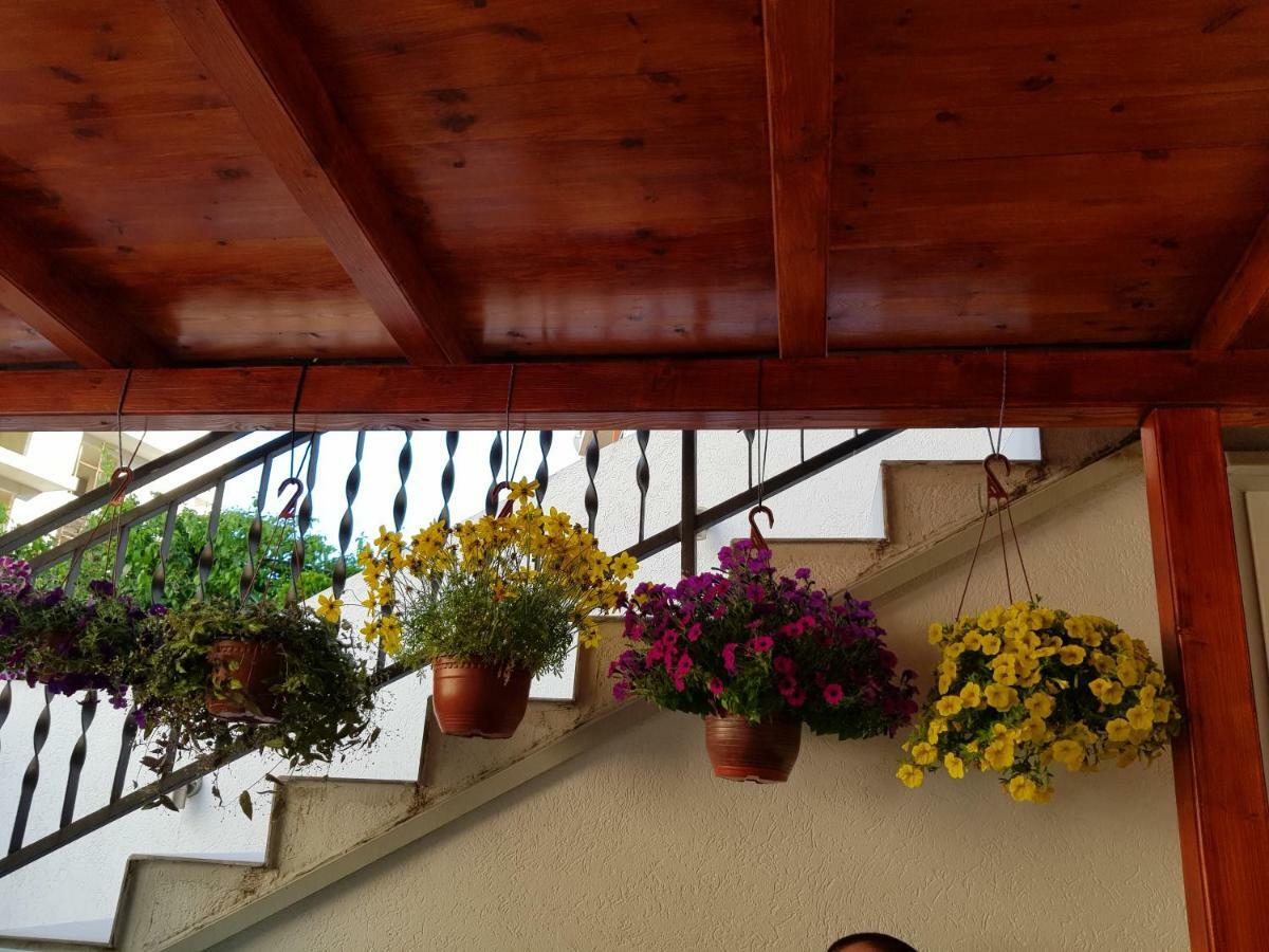 Sobe Nedovic Hotel Budva Exterior foto